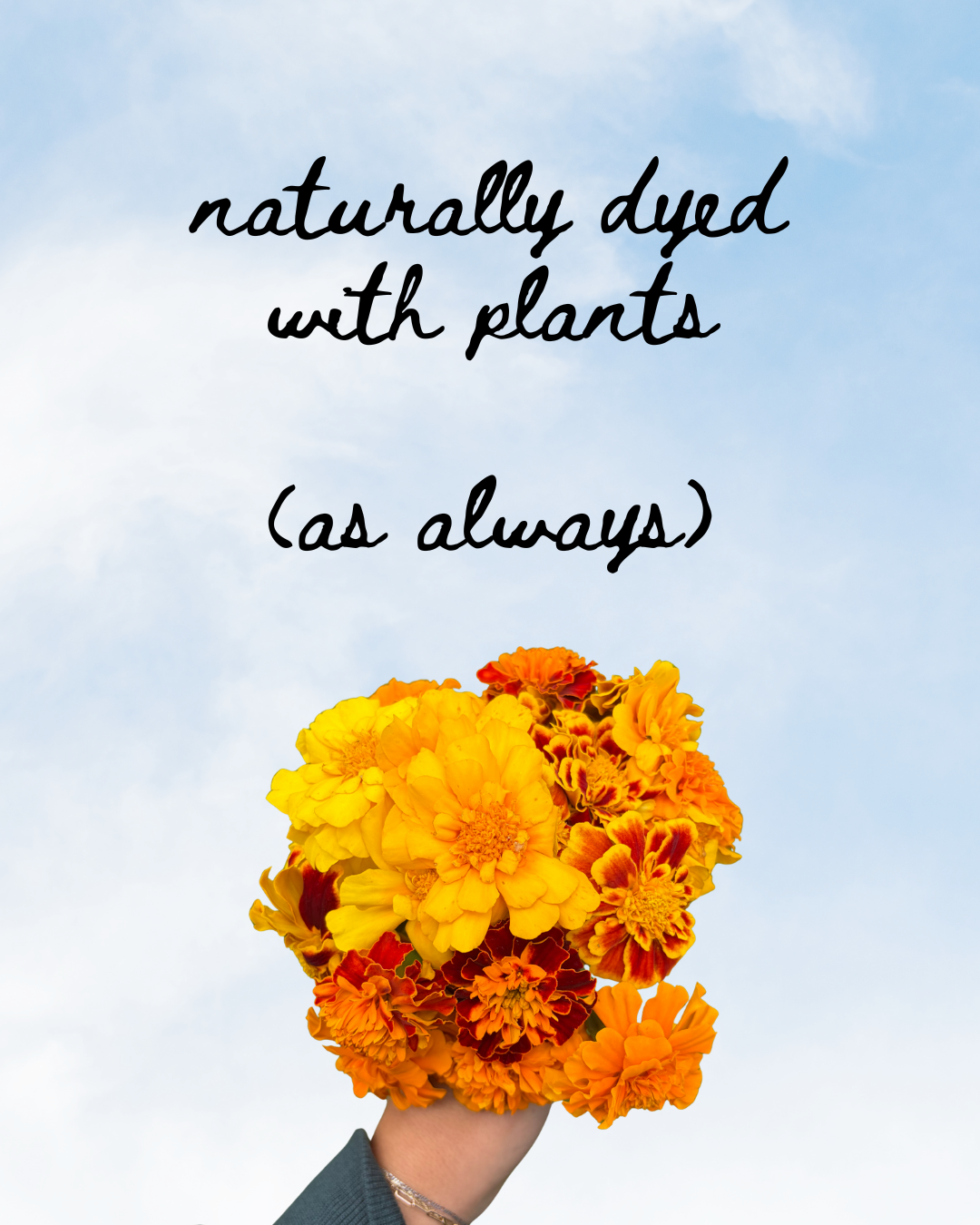 Go Slow Plant Dyed Hat