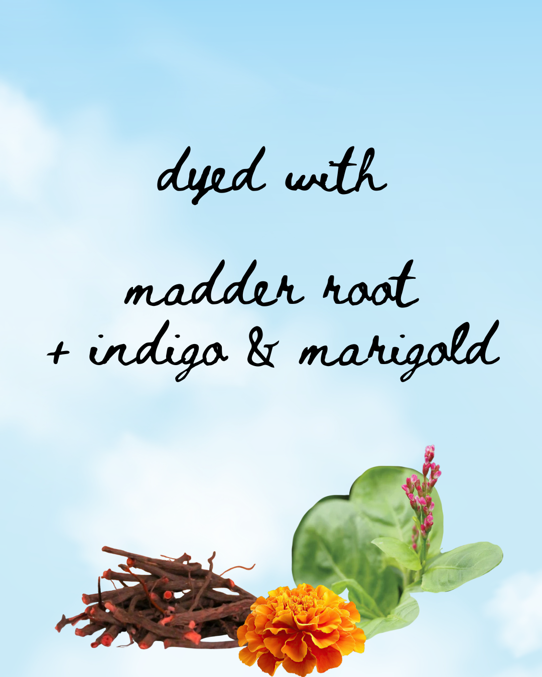 Madder Root + Marigold/Indigo Plant Dyed Shorts - 100% Organic Cotton