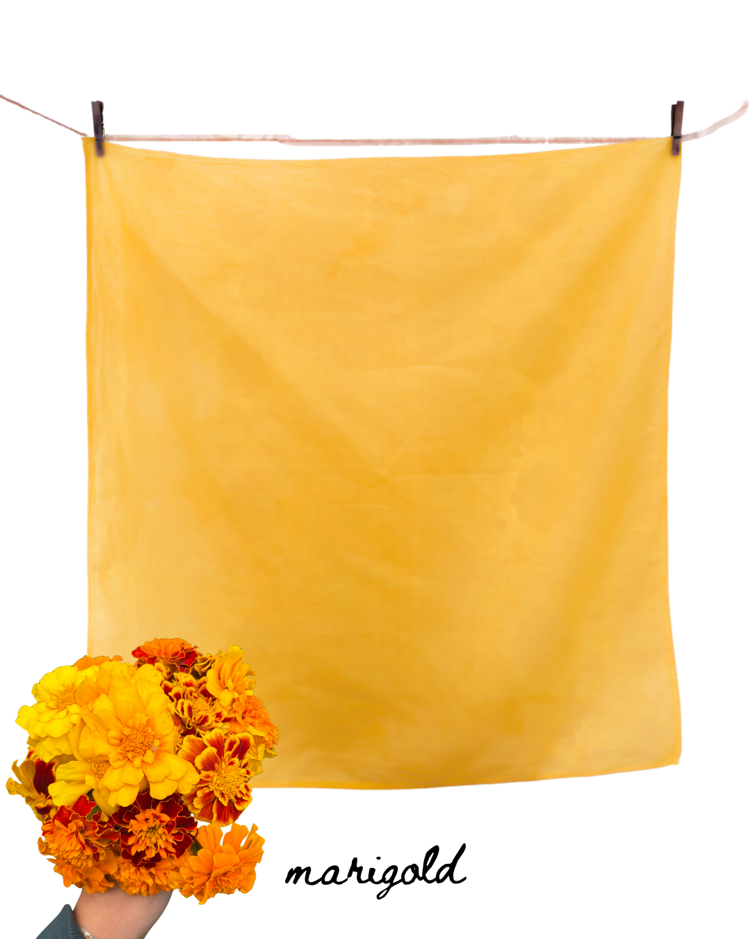 100% Organic Cotton Plant Dyed Bandana - Marigold