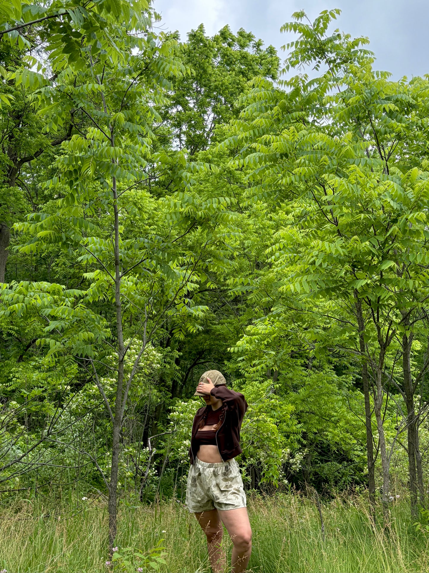 Black Walnut Dyed Shorts - 100% Organic Cotton (preorder)