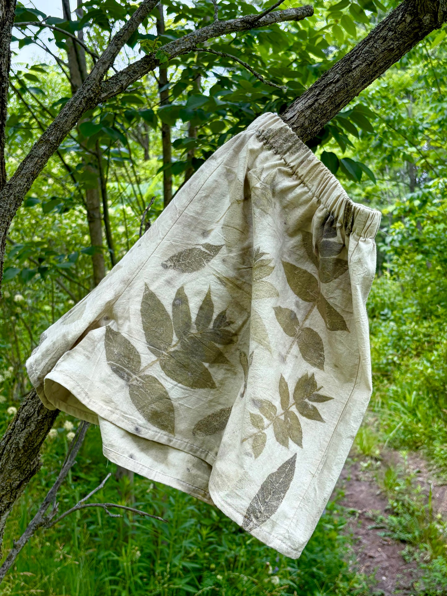 Black Walnut Dyed Shorts - 100% Organic Cotton (preorder)